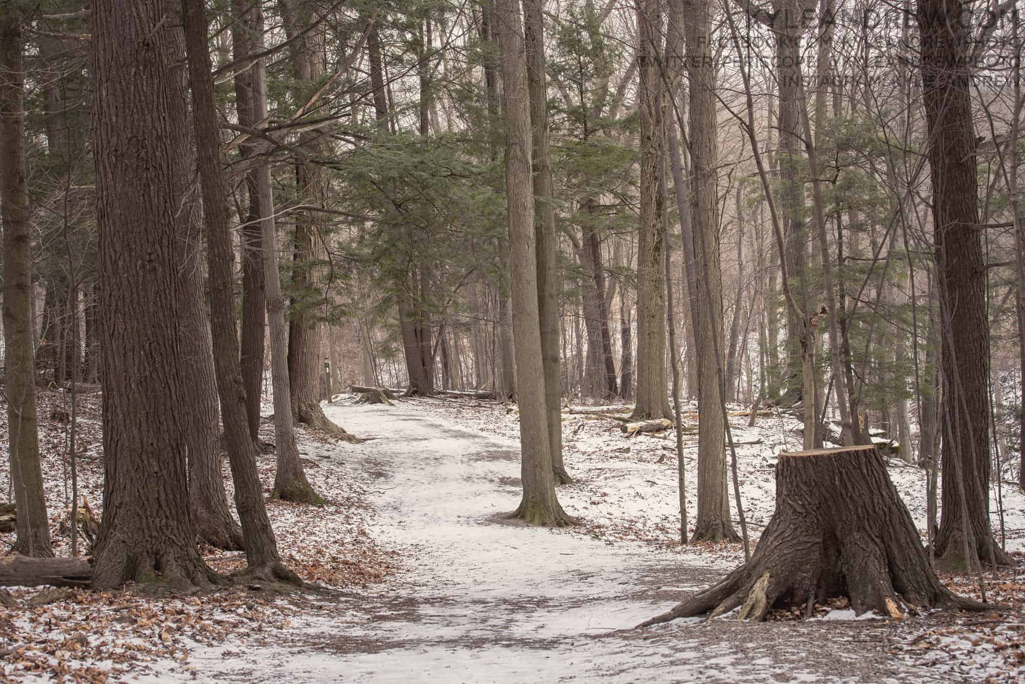 The weather outside is frightful? NAH! A photo from the Dundas Valley